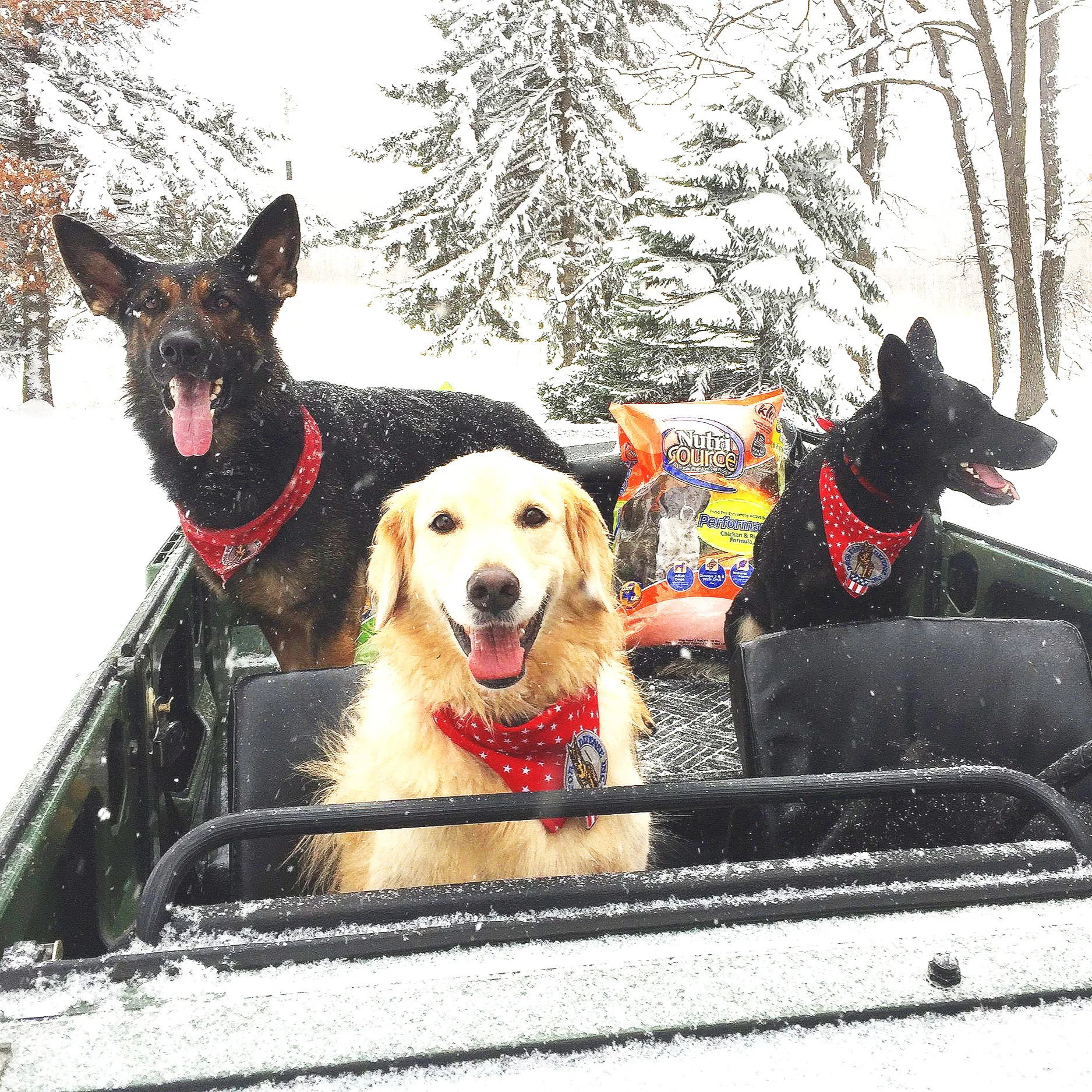 Dogs for Defense Inc.