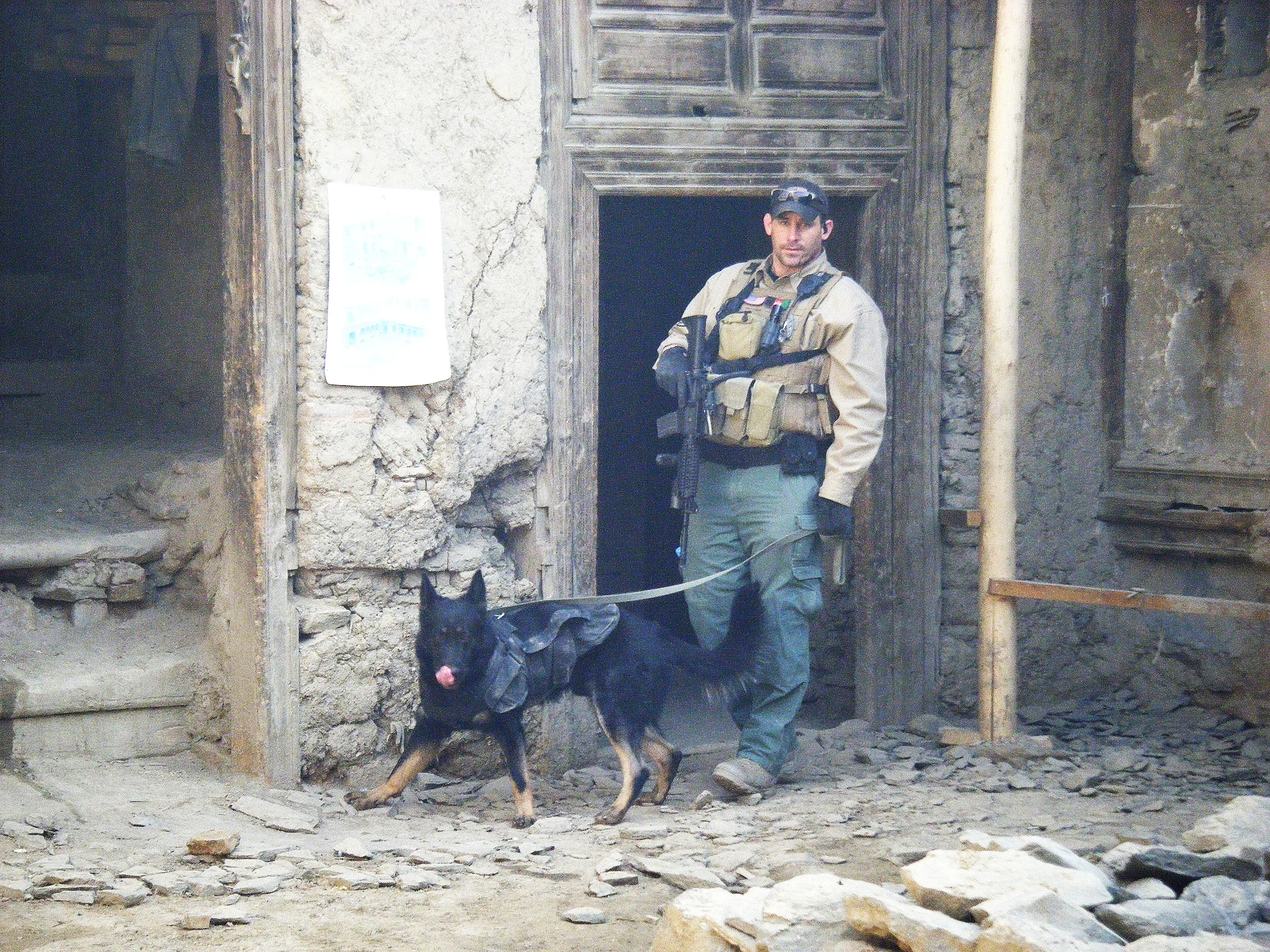 K-9