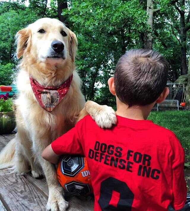 A great photo from a few years ago when kids played recreational soccer and people went to concerts.

#dogsfordefense #d4d #k9 #bombdog #workingdog #goldenretriever #golden