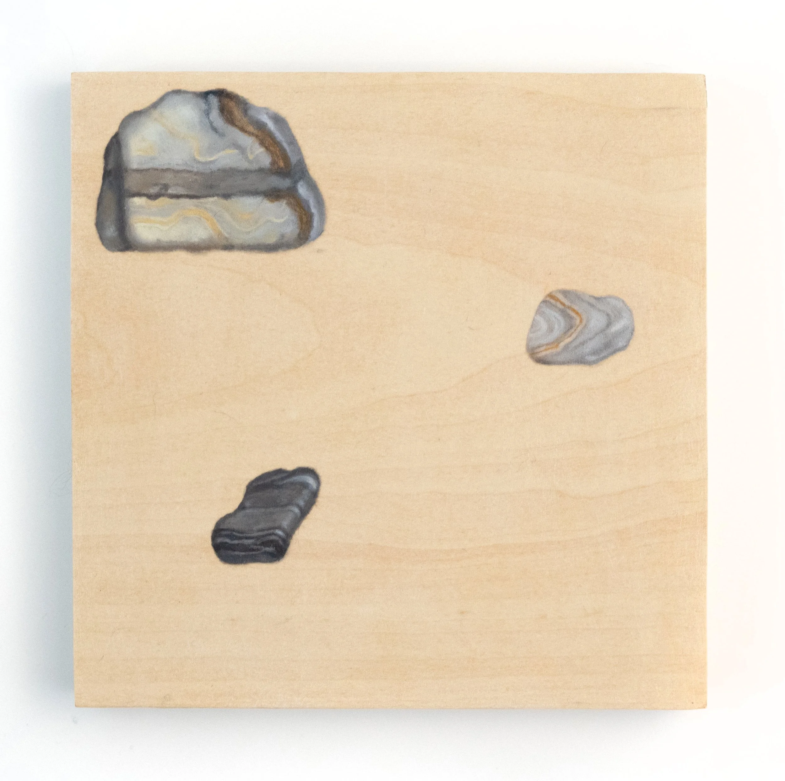 05-Meg-White-Banded, Ringed-2026.jpg