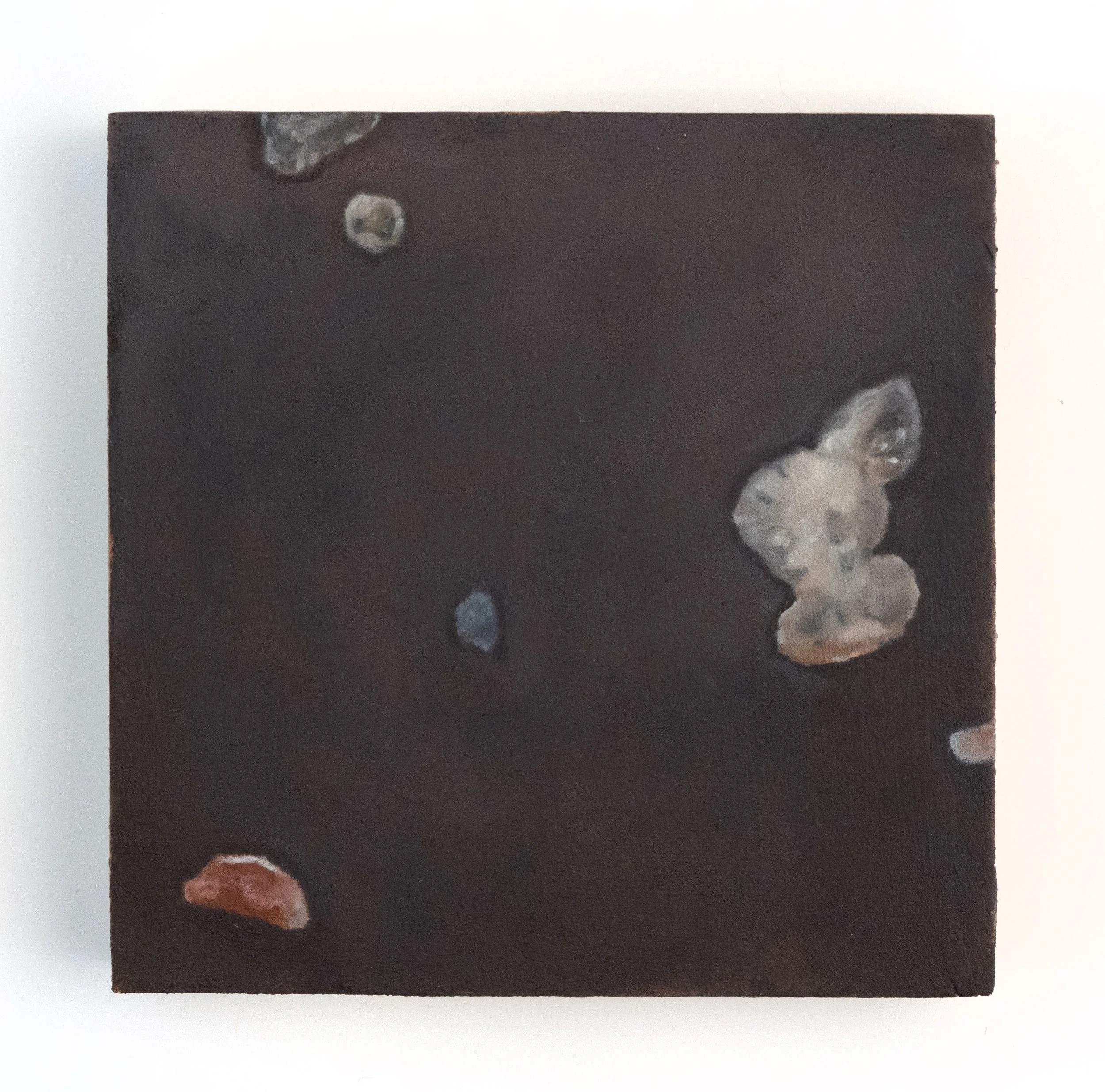 White_Meg_Gem Spotting.jpg