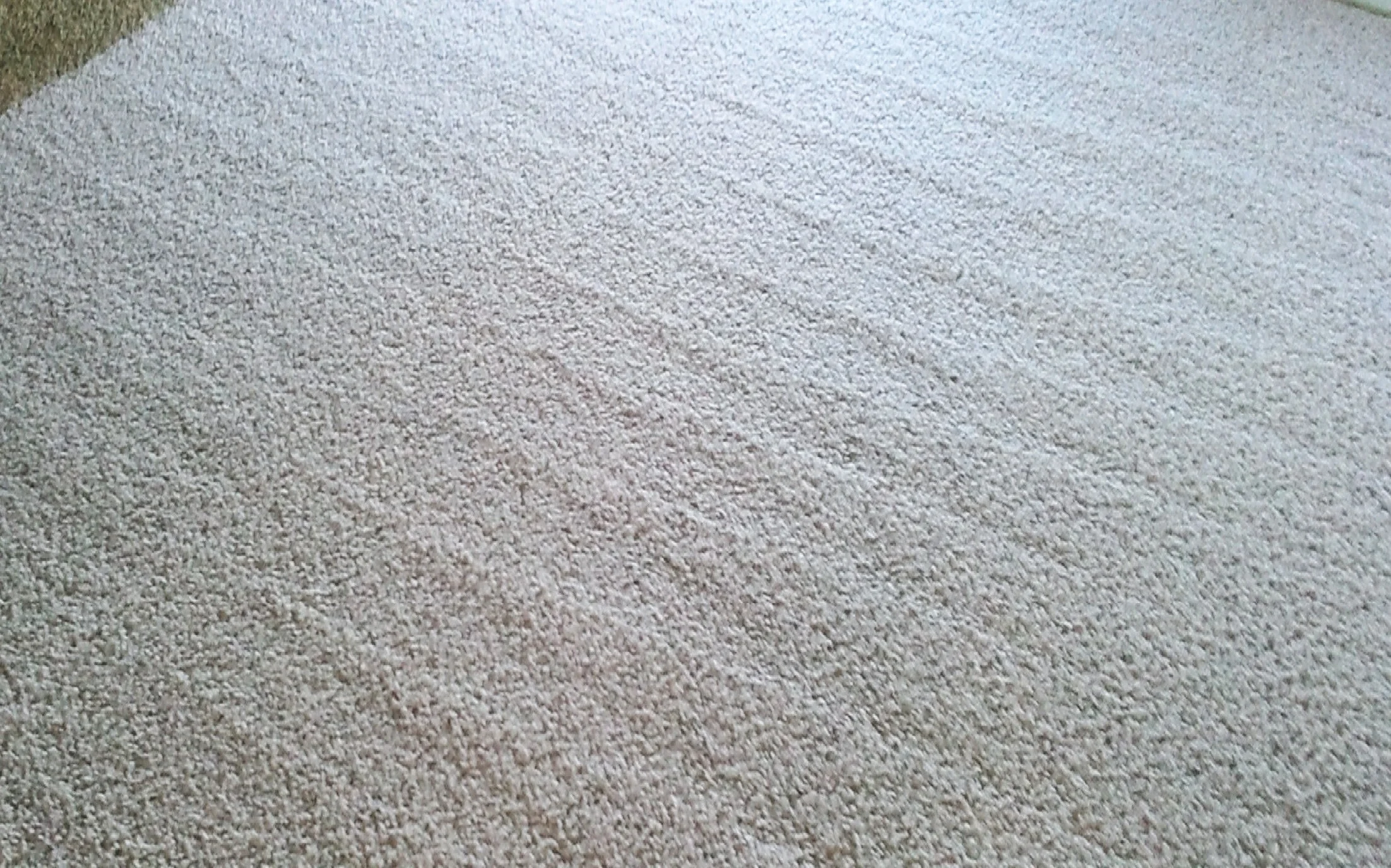 Carpet-Cleaning-Lake-Forest-IL-10.jpg