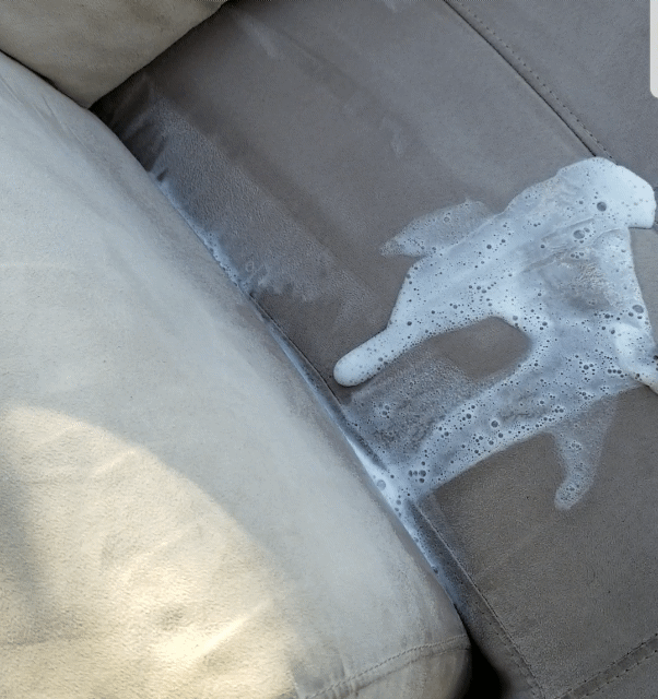 Stain extraction on a suede sofa.