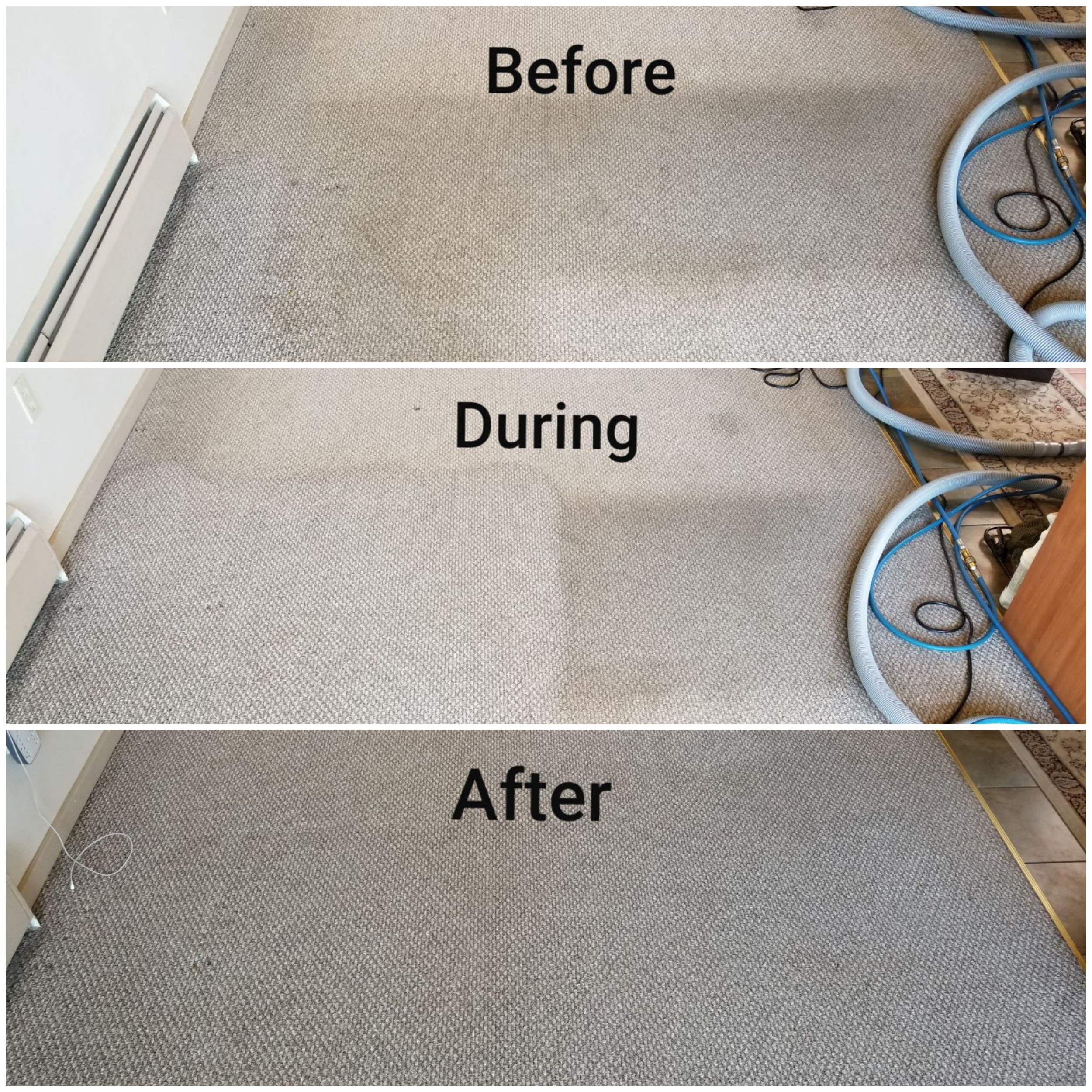 Carpet cleaning services victoria