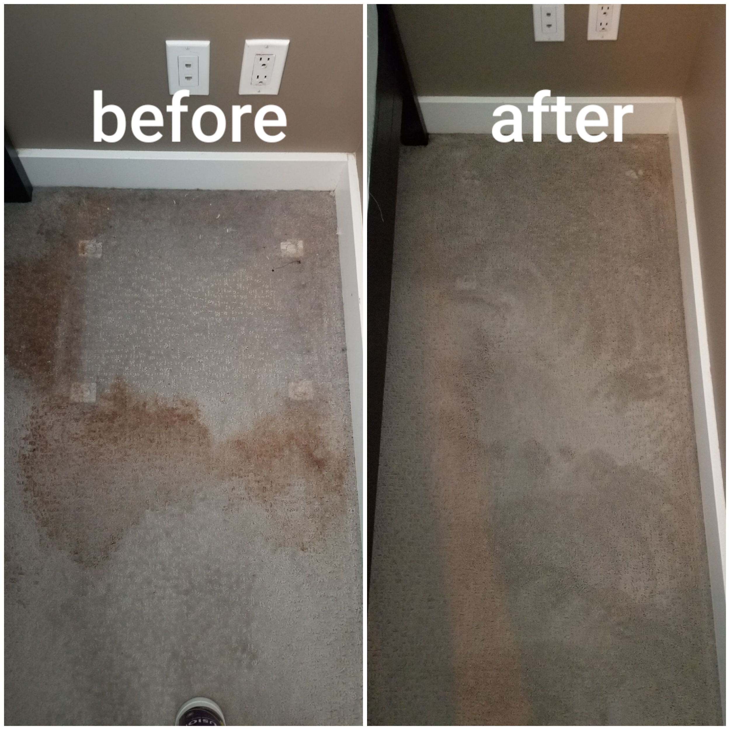 Stain removal carpet cleaning 