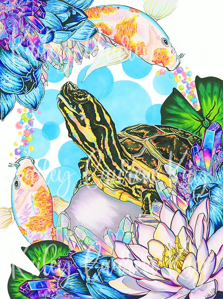 Timmy the Turtle