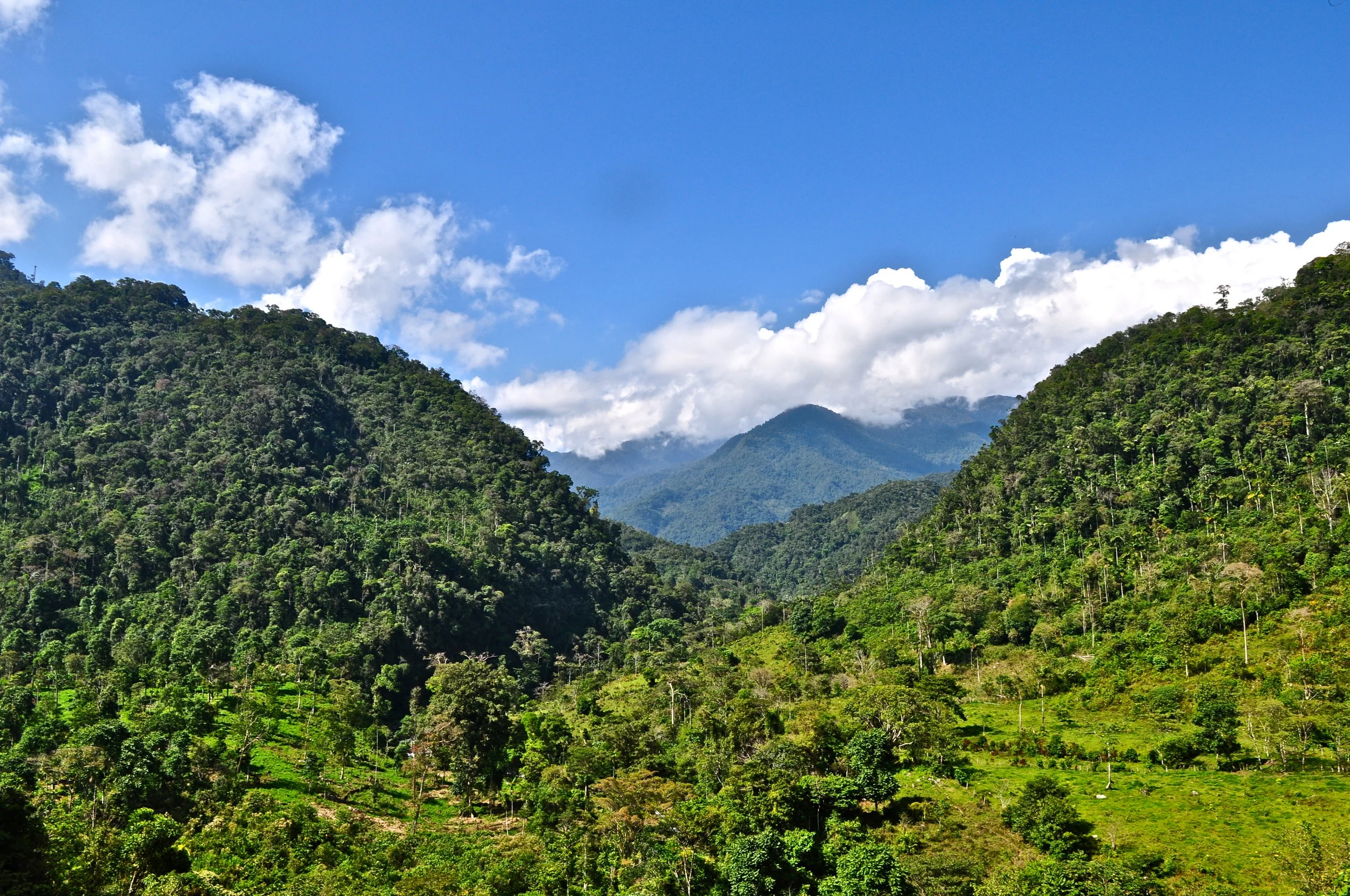 The purchase of certified carbon offsets protects forests and benefits local communities, including the Alto Mayo Protected Forest in Peru, pictured above. (© Conservation International/photo by Bailey Evans)