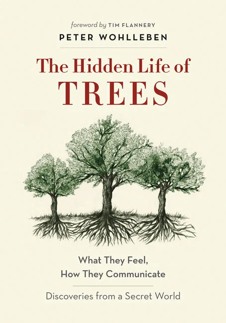 trees.jpg