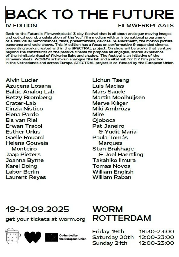BTTFFF Poster.jpg