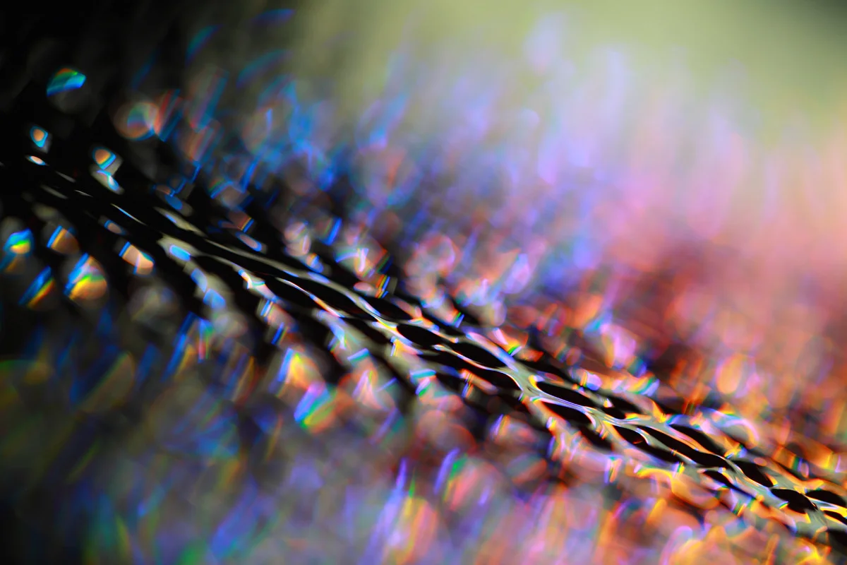 digi_mg_5876.jpg