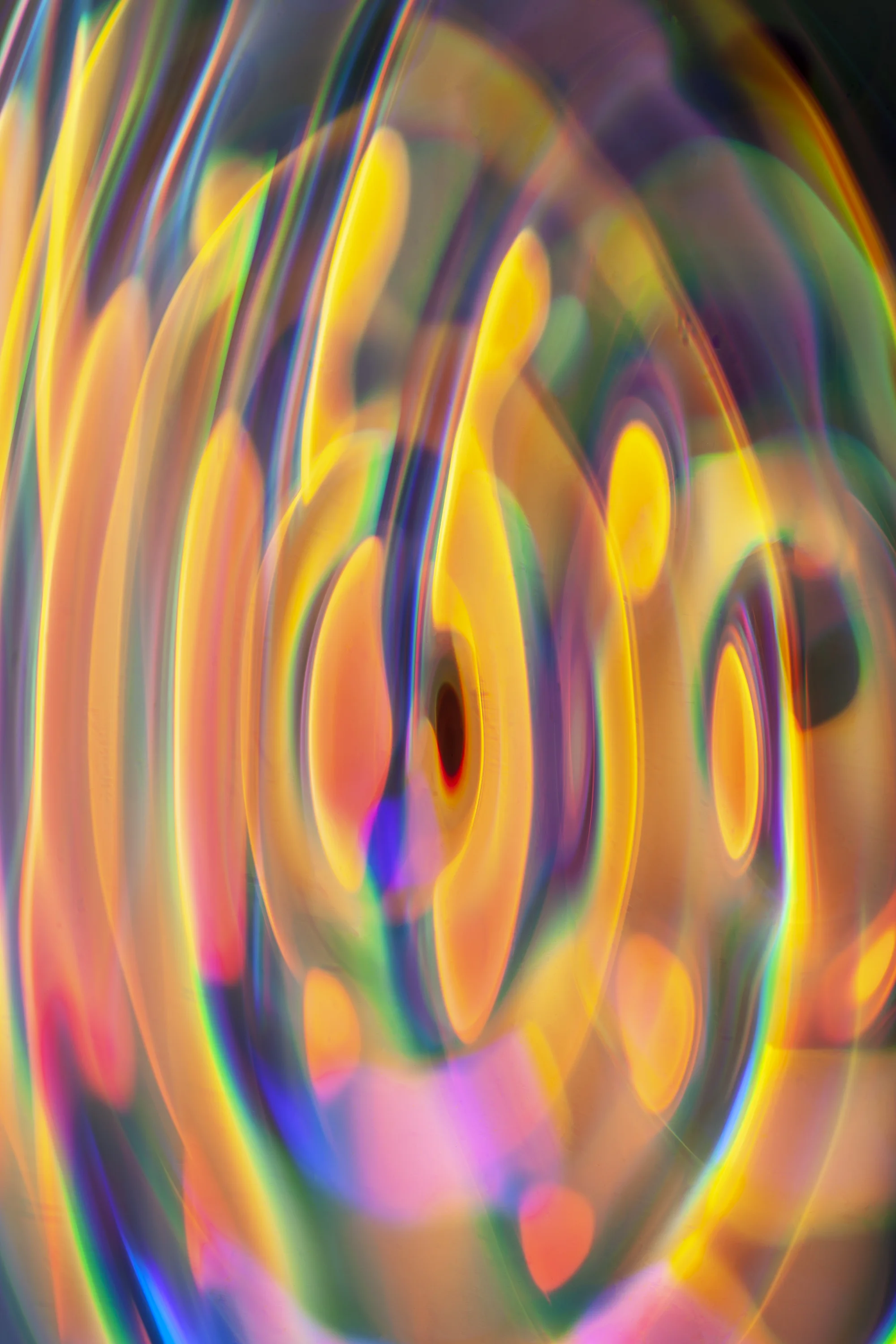 _MG_7393 33hz.jpg