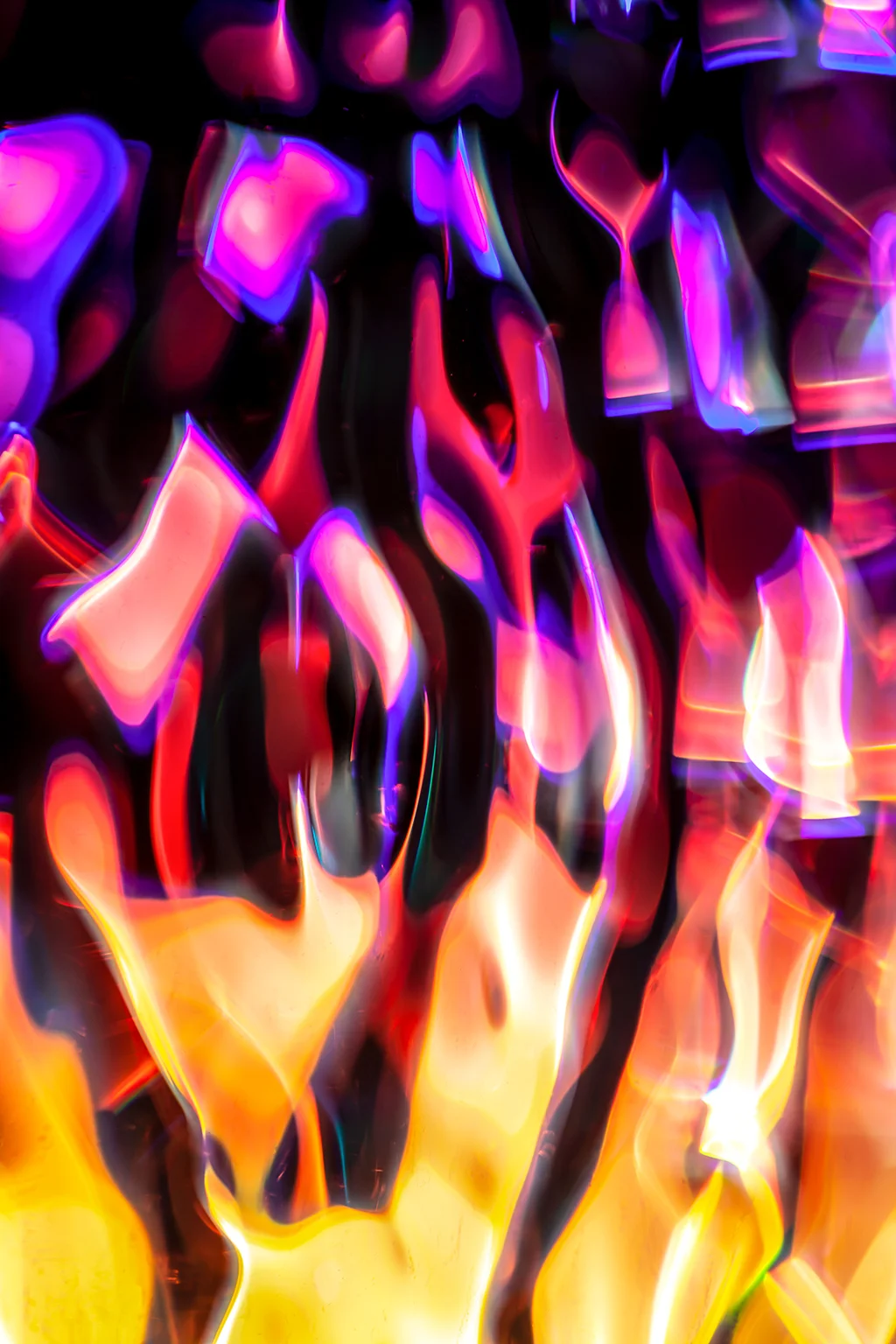 _MG_9382 24hz 1.jpg