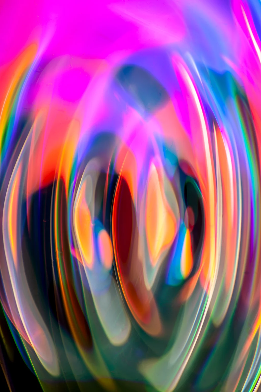 _MG_9754 24hz 1.jpg