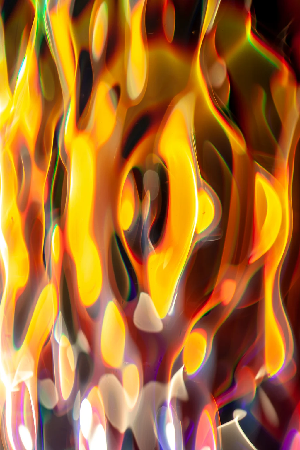 _MG_6592 33hz.jpg