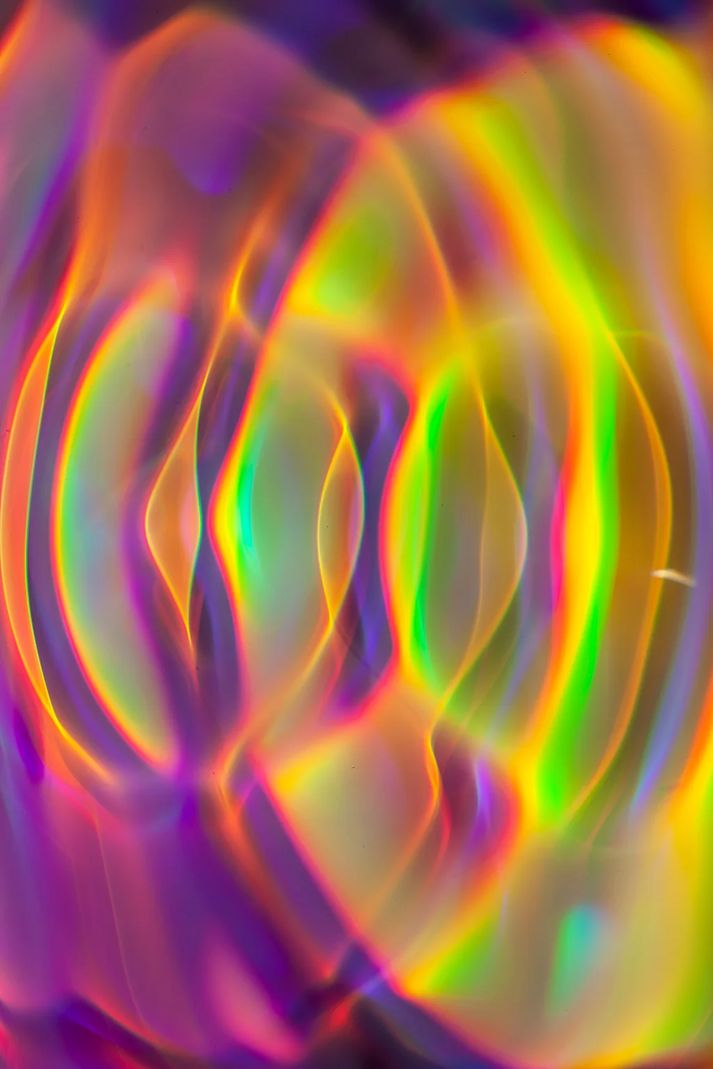 _MG_7466 33hz.jpg