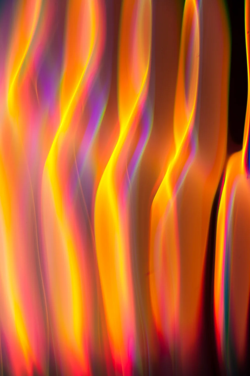 11.11hz_MG_3185.jpg