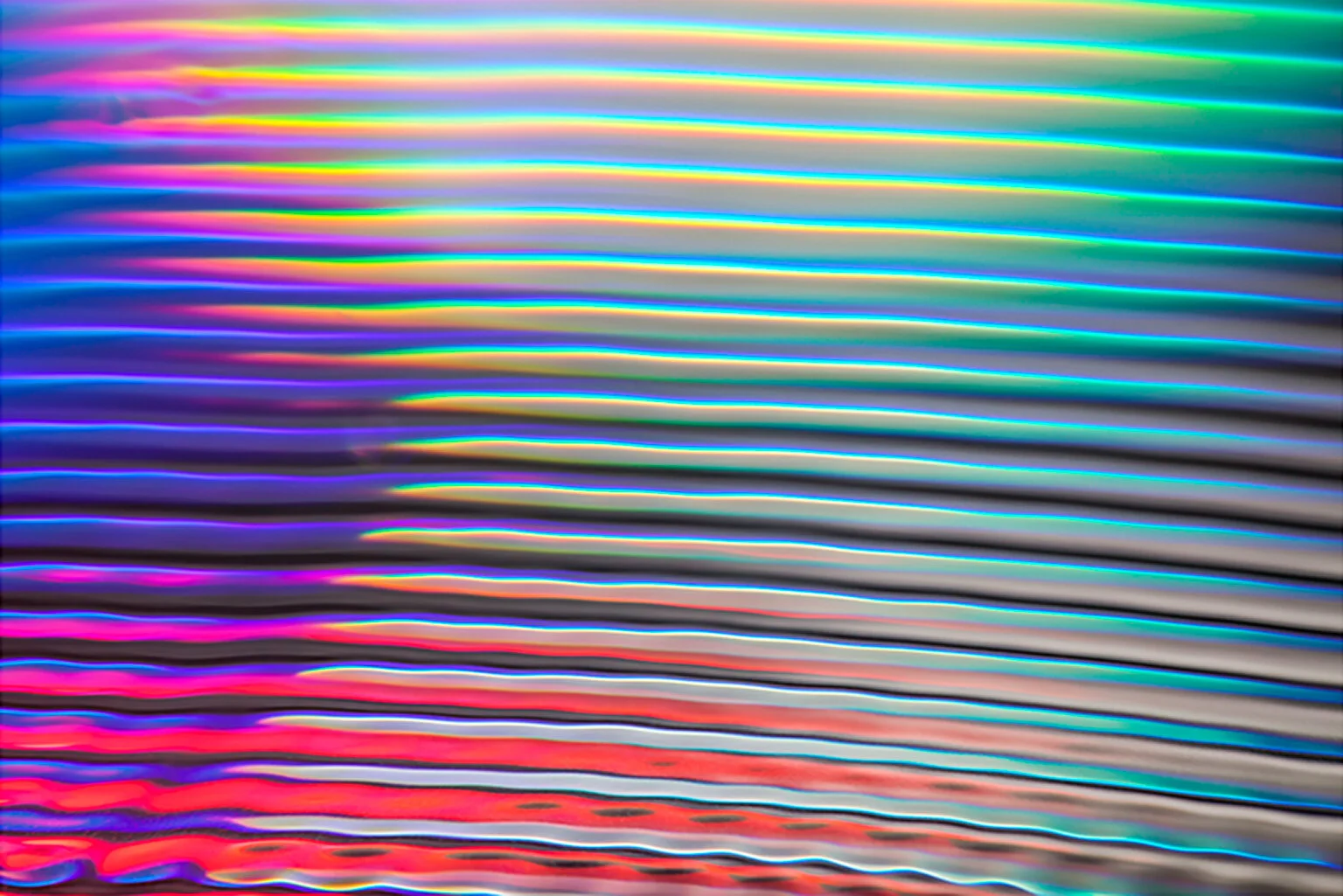 _MG_2743 333.33 Hz.jpg