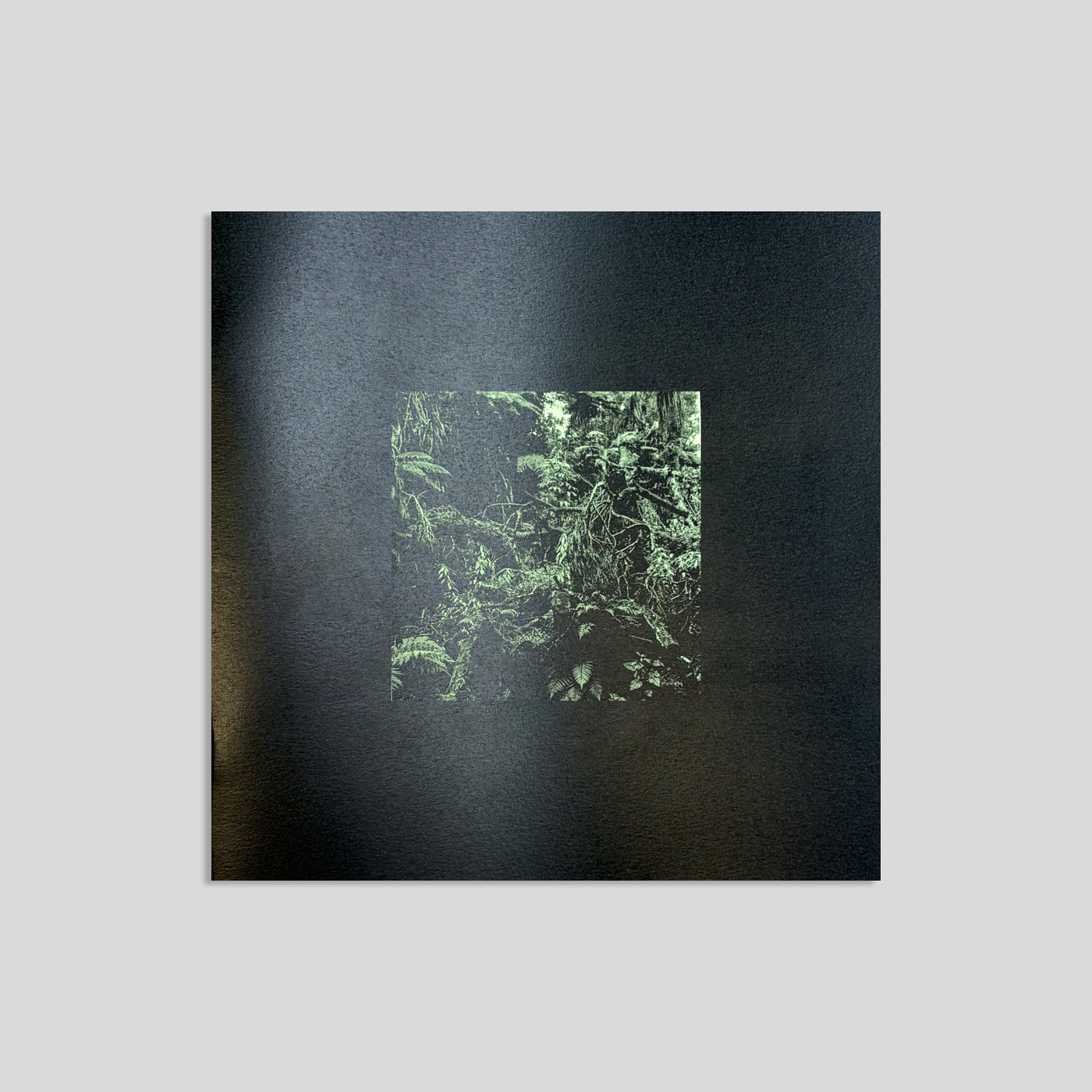 TREES Lyric Book