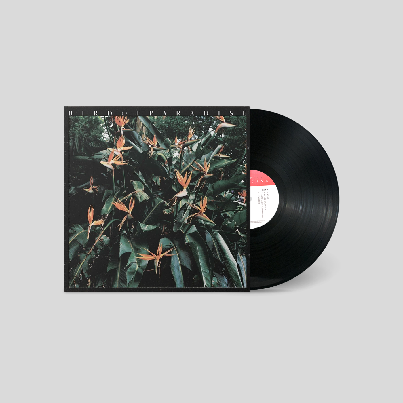 Bird Of Paradise (Vinyl LP)