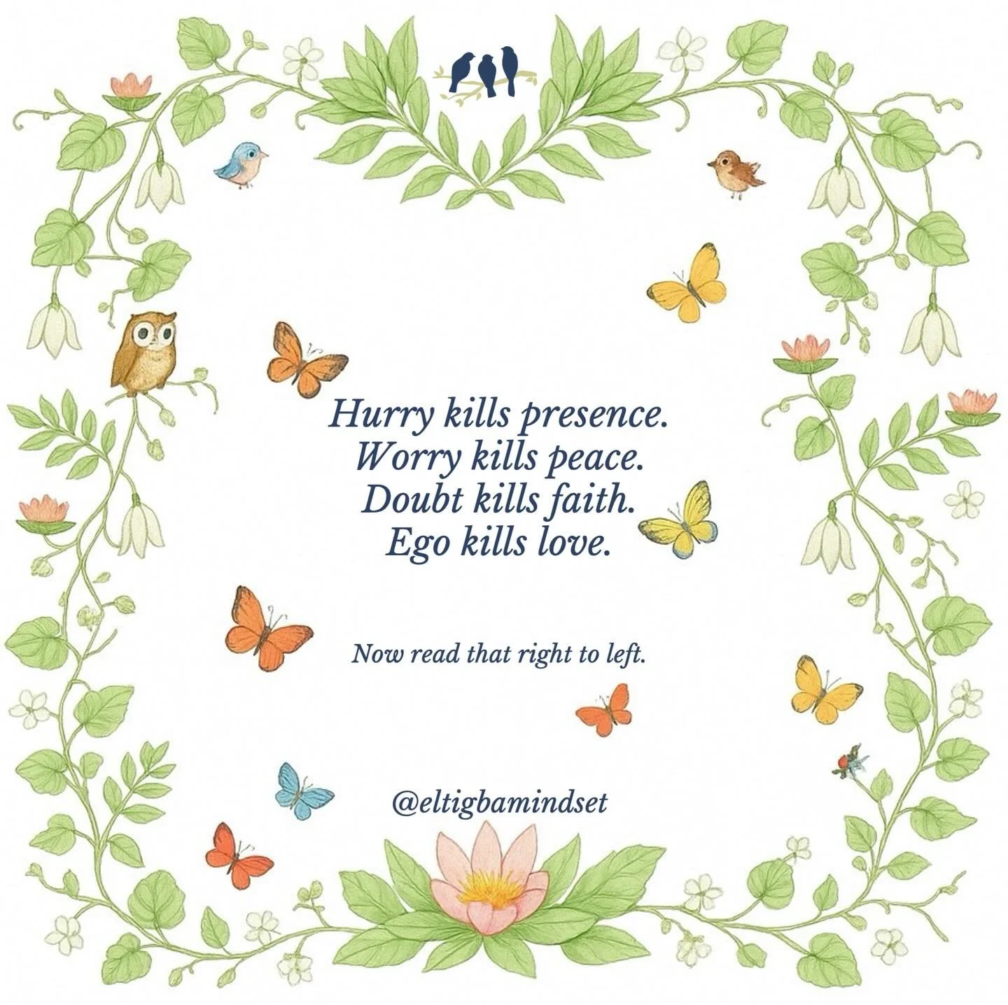 🦋Anyone else still kinda feel like it&rsquo;s September? 🫠 Finding myself needing little reminders like this as the holiday season ramps up 🙏🏼 Amazing that only 12 little words can provide so much thought &amp; perspective 🐦🐦🐦