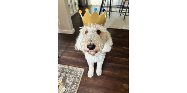 Pippa