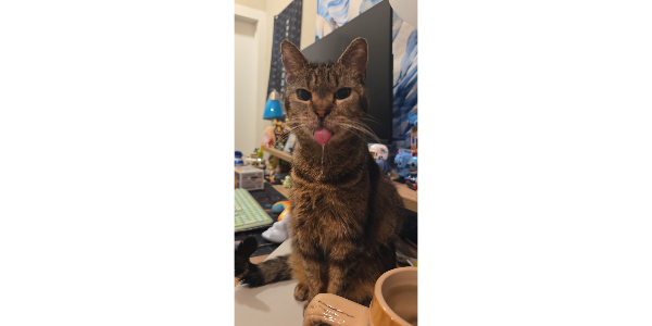 Tilly
