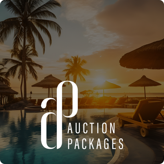 auctionpackages-icon.png