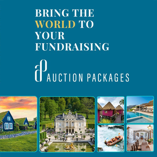 auctionpackages-header.png