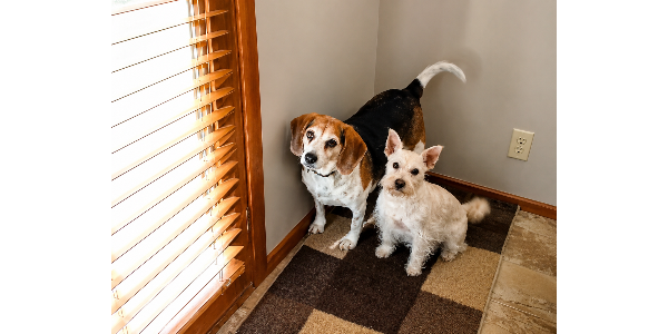 Chica &amp; Shelby