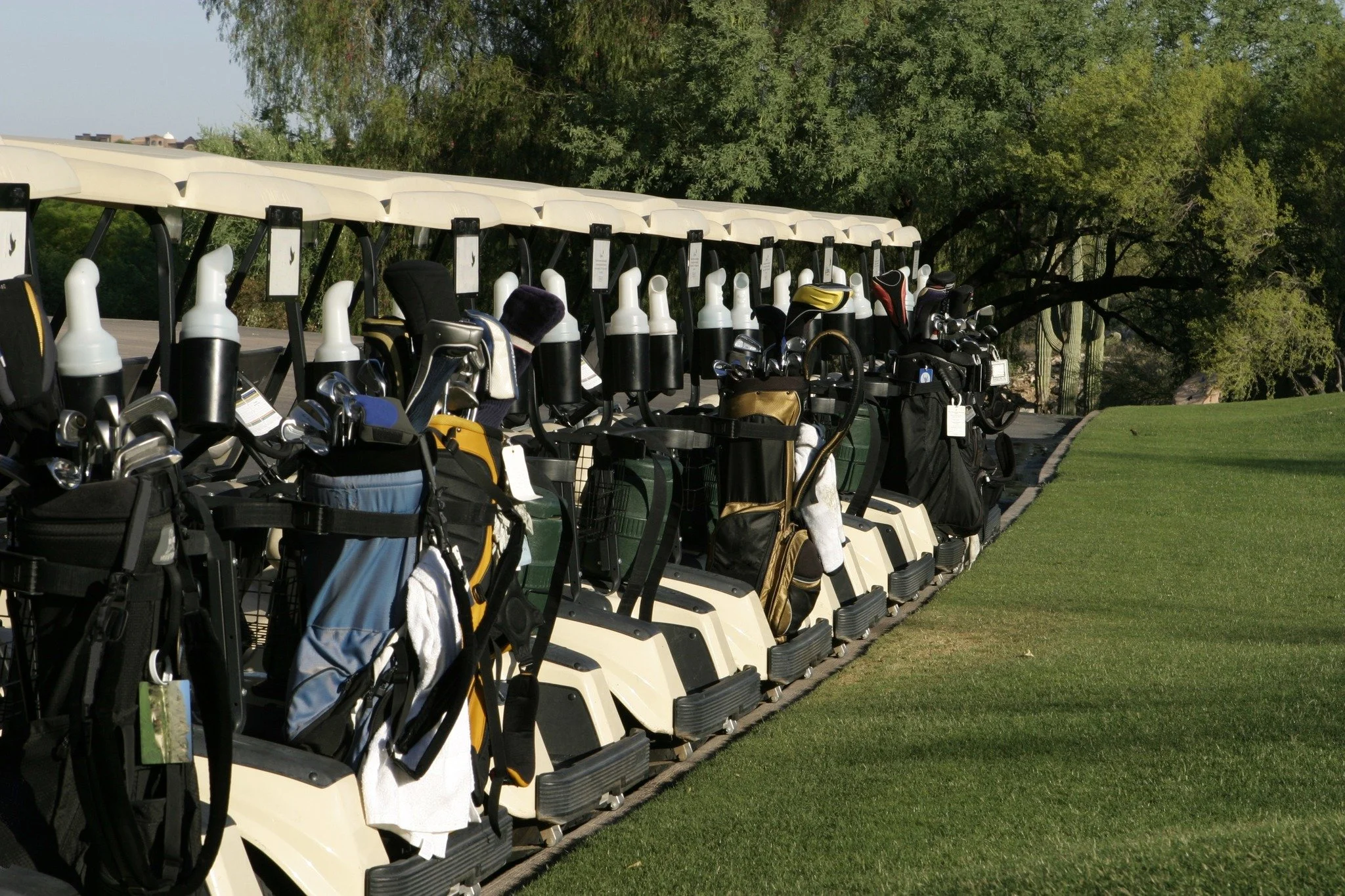 Golf carts lined up prior to the start of an outside outing at Ellis Golf Course.