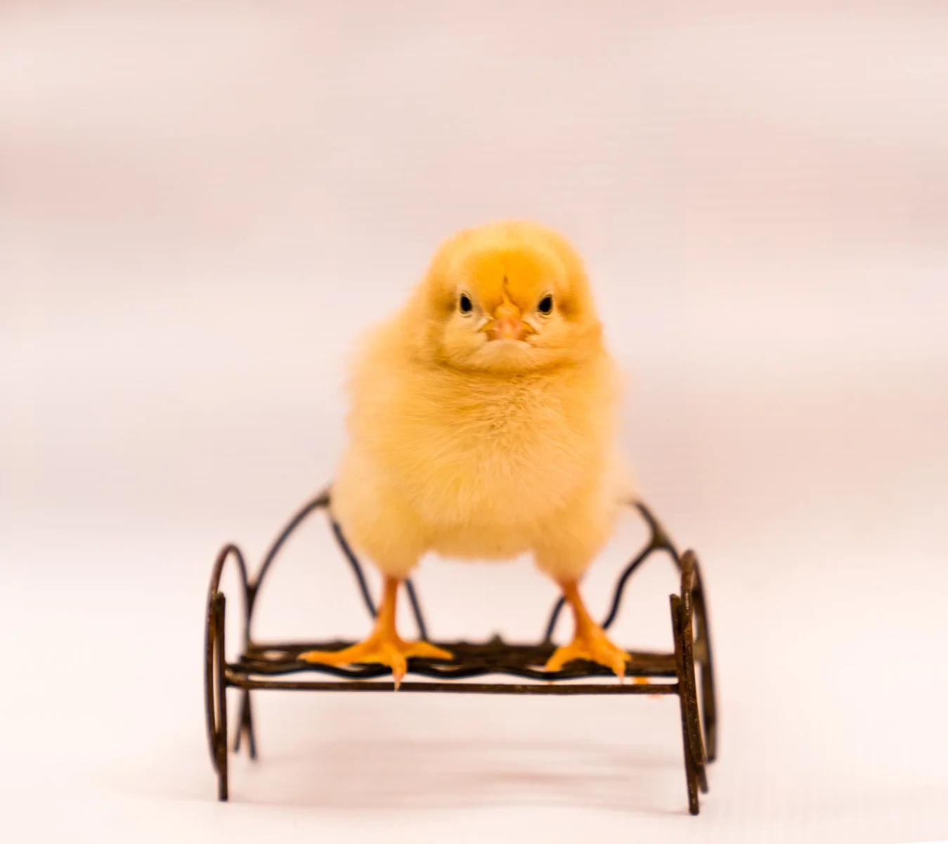 Easter 2018-4.jpg