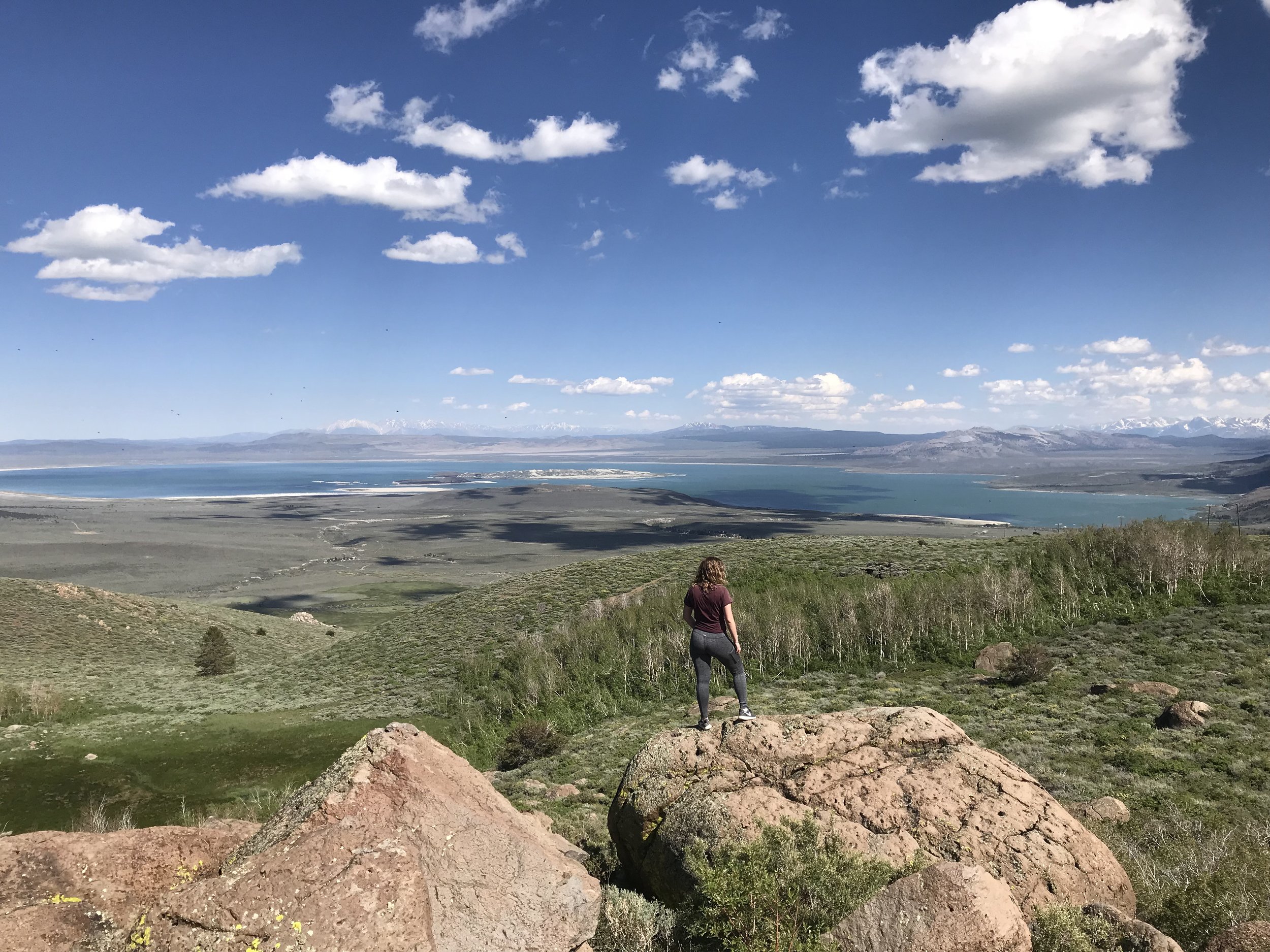 MONO LAKE VIEW FROM ABOVE