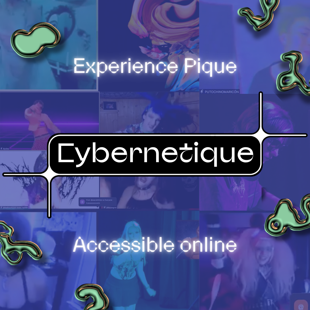 Cybernetique: Zoom party @ Pique spring edition