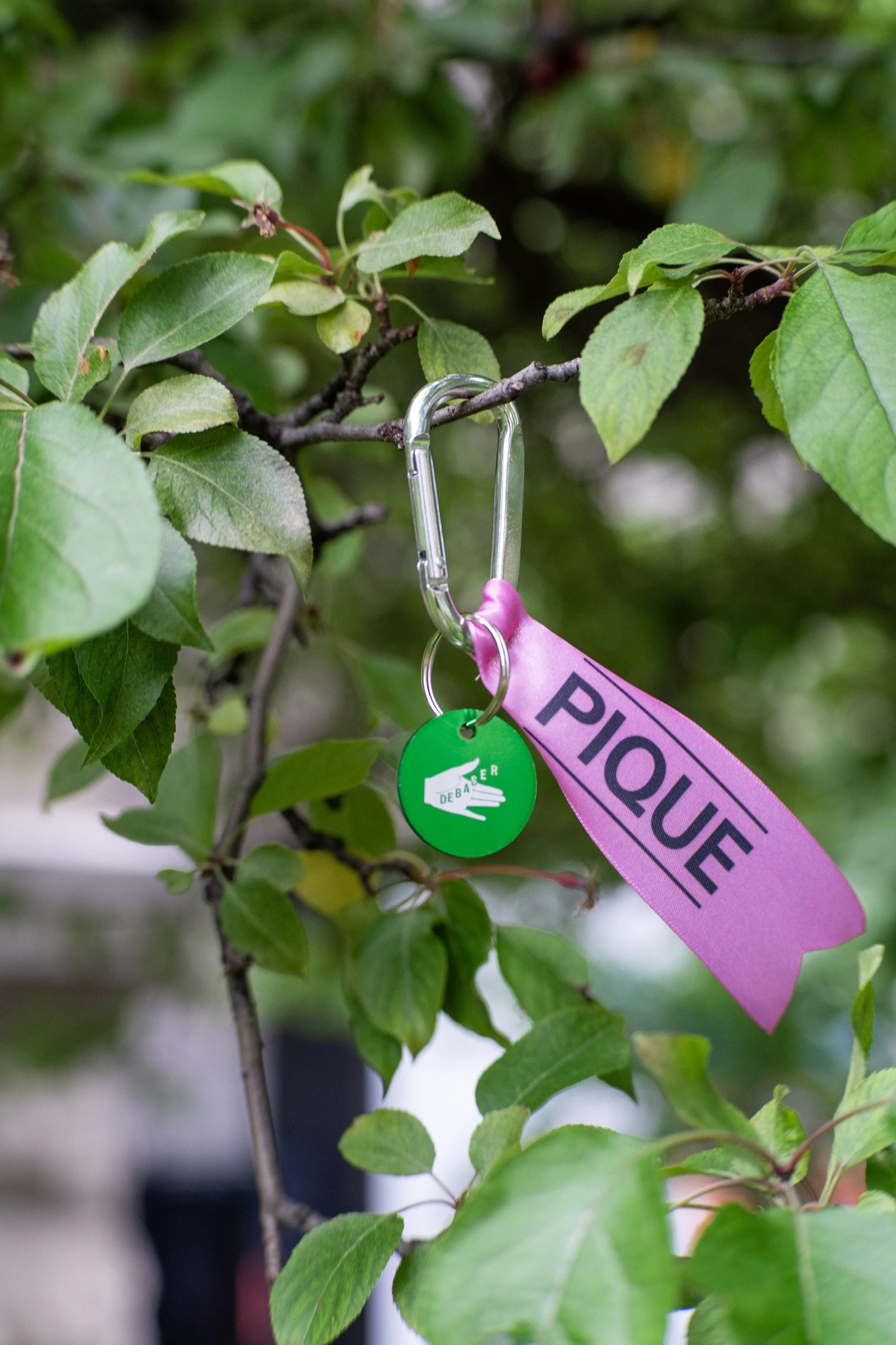 Carabiner merch Pique 20_1.jpg