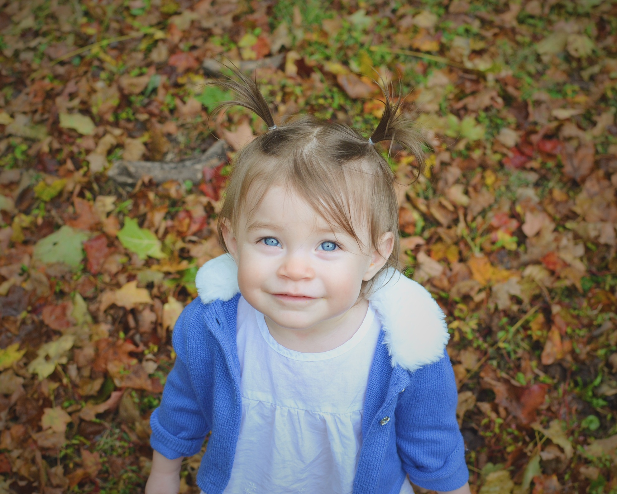 B08600F9-C960-4916-8C95-B89F251C3803.jpeg