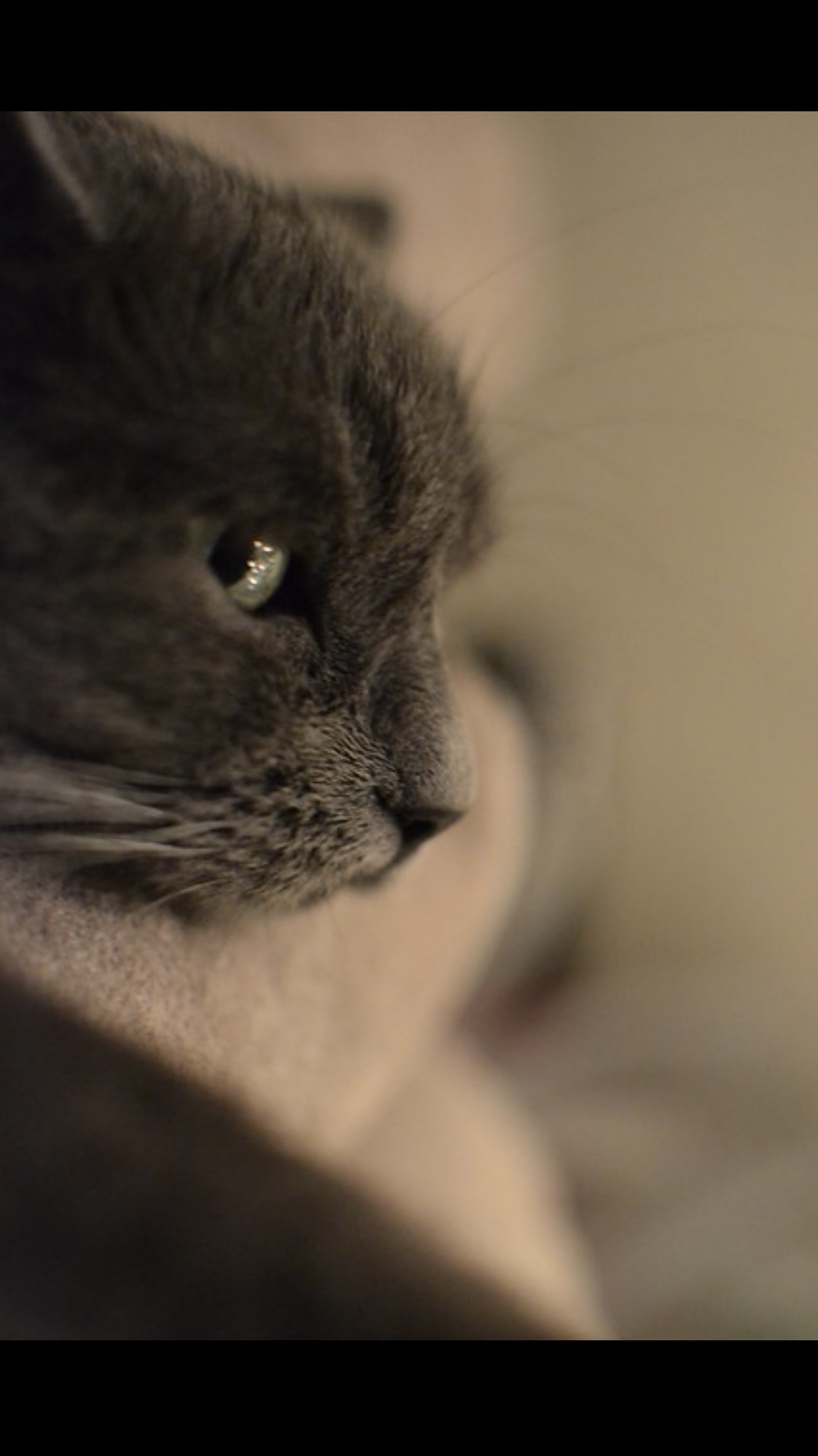 IMG_7803.jpeg