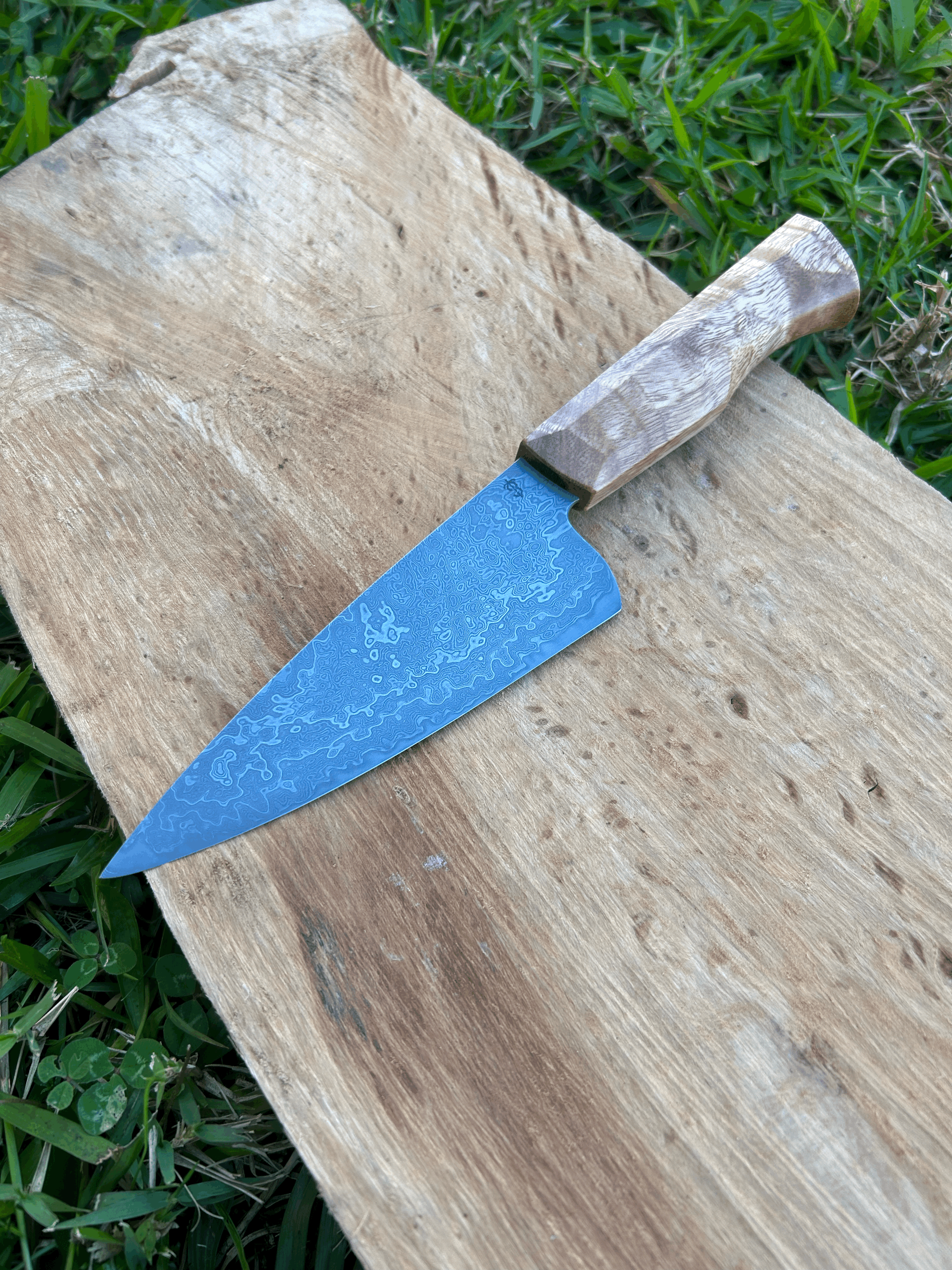 tempImageZ8RrIw.gif