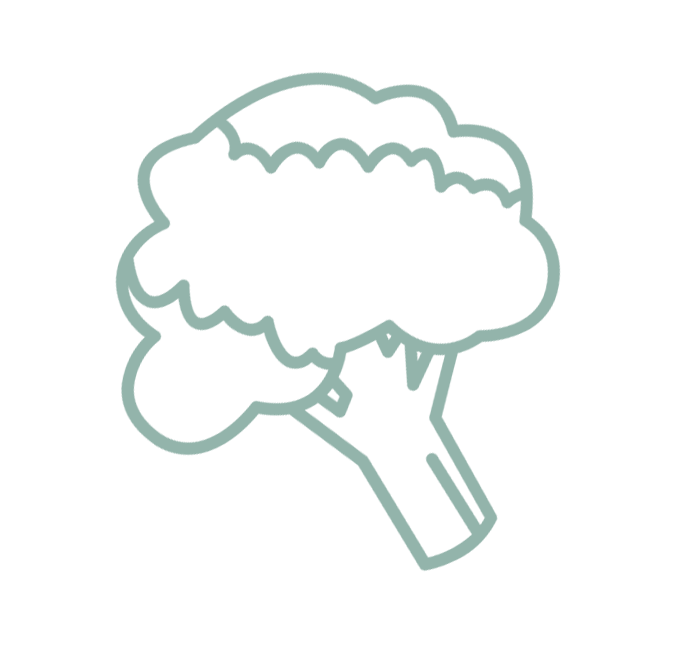 noun_Broccoli_1482068.png