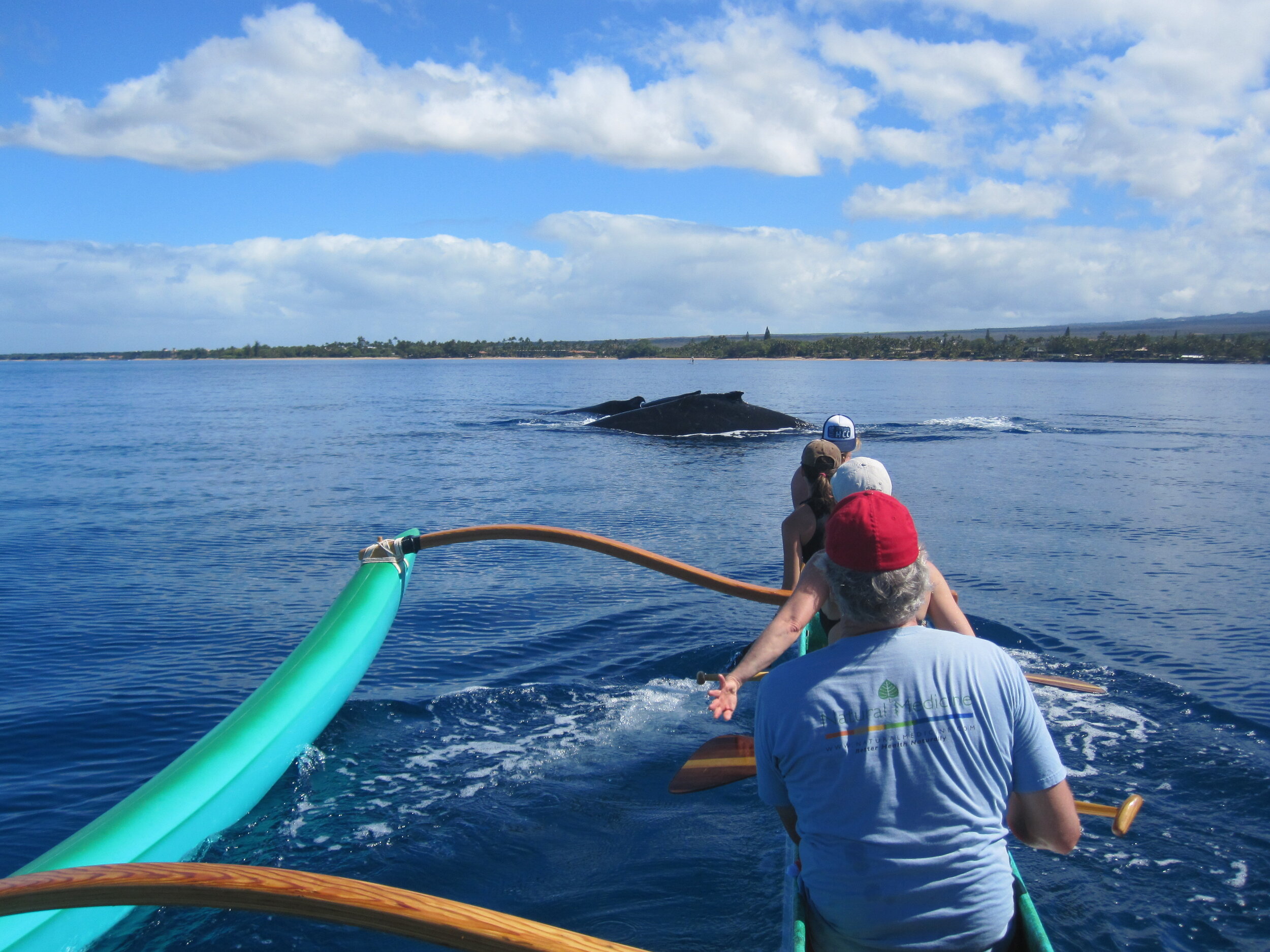 Blue Soul Maui Private Maui Tours And Experiences Blue soul maui private maui tours and experiences