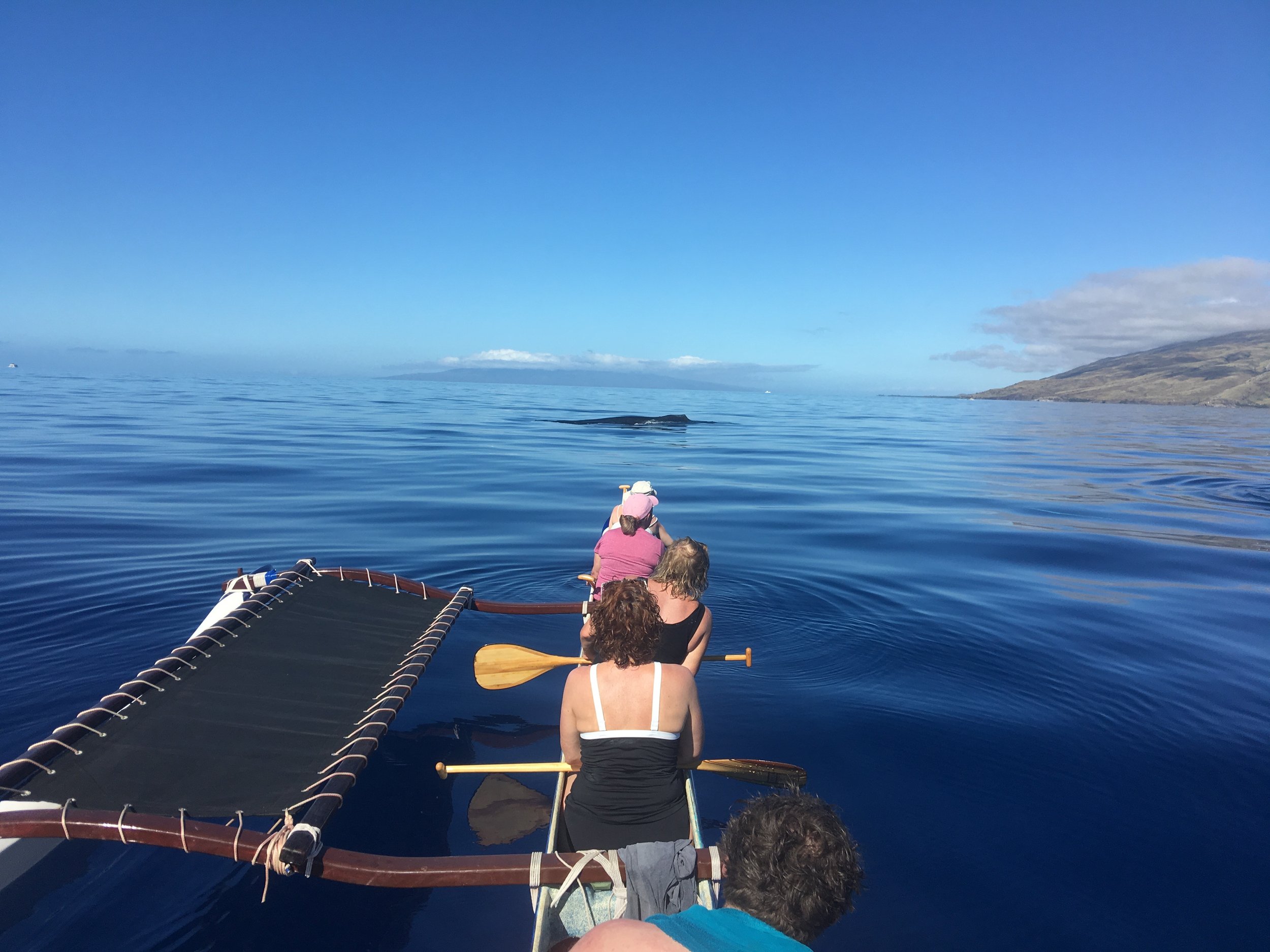 Blue_Soul_Maui_Outrigger_Canoe_Whale_Watch_5.jpg