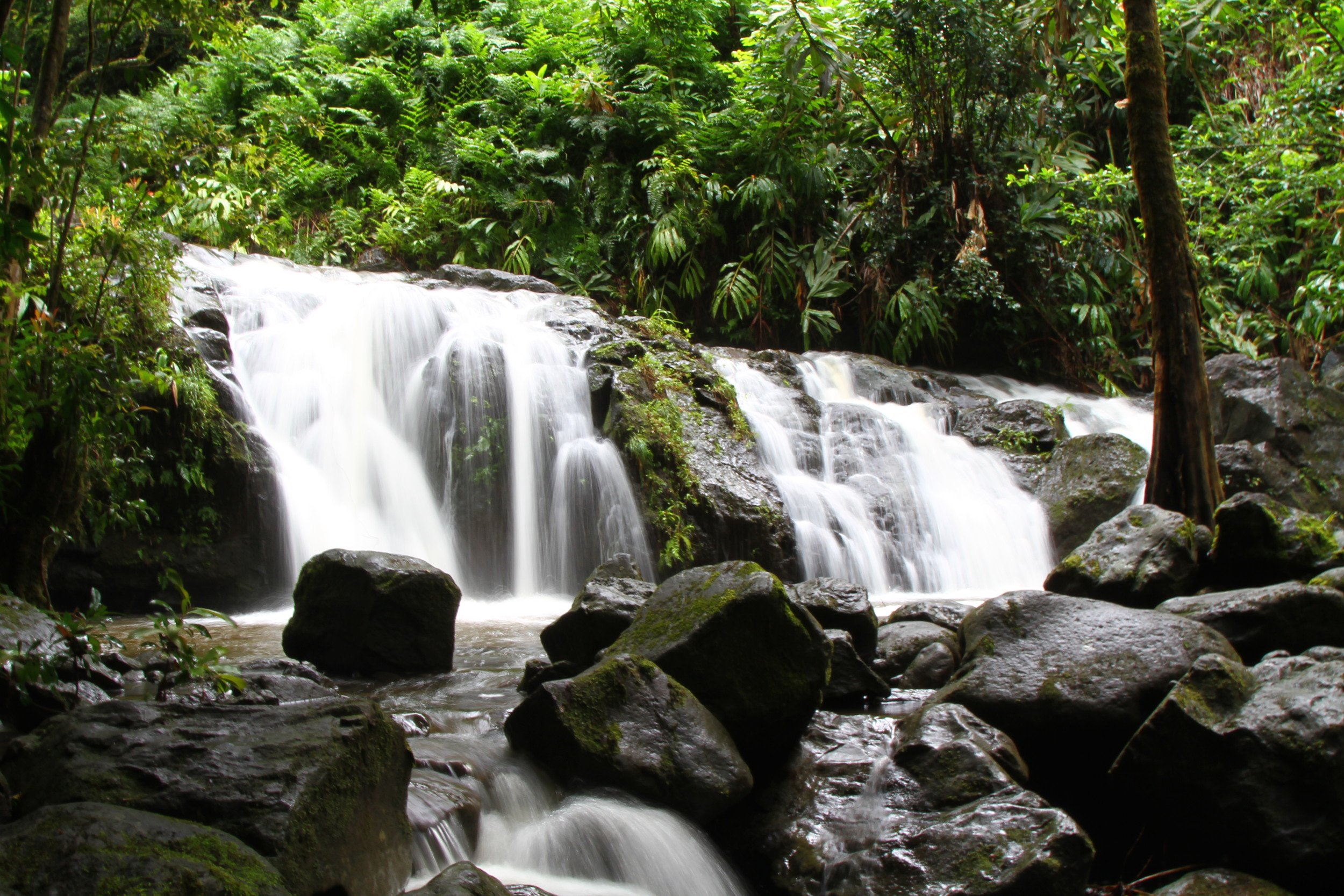 Blue_Soul_Maui_Private_Tour_Hana_Waterfall_5.jpg