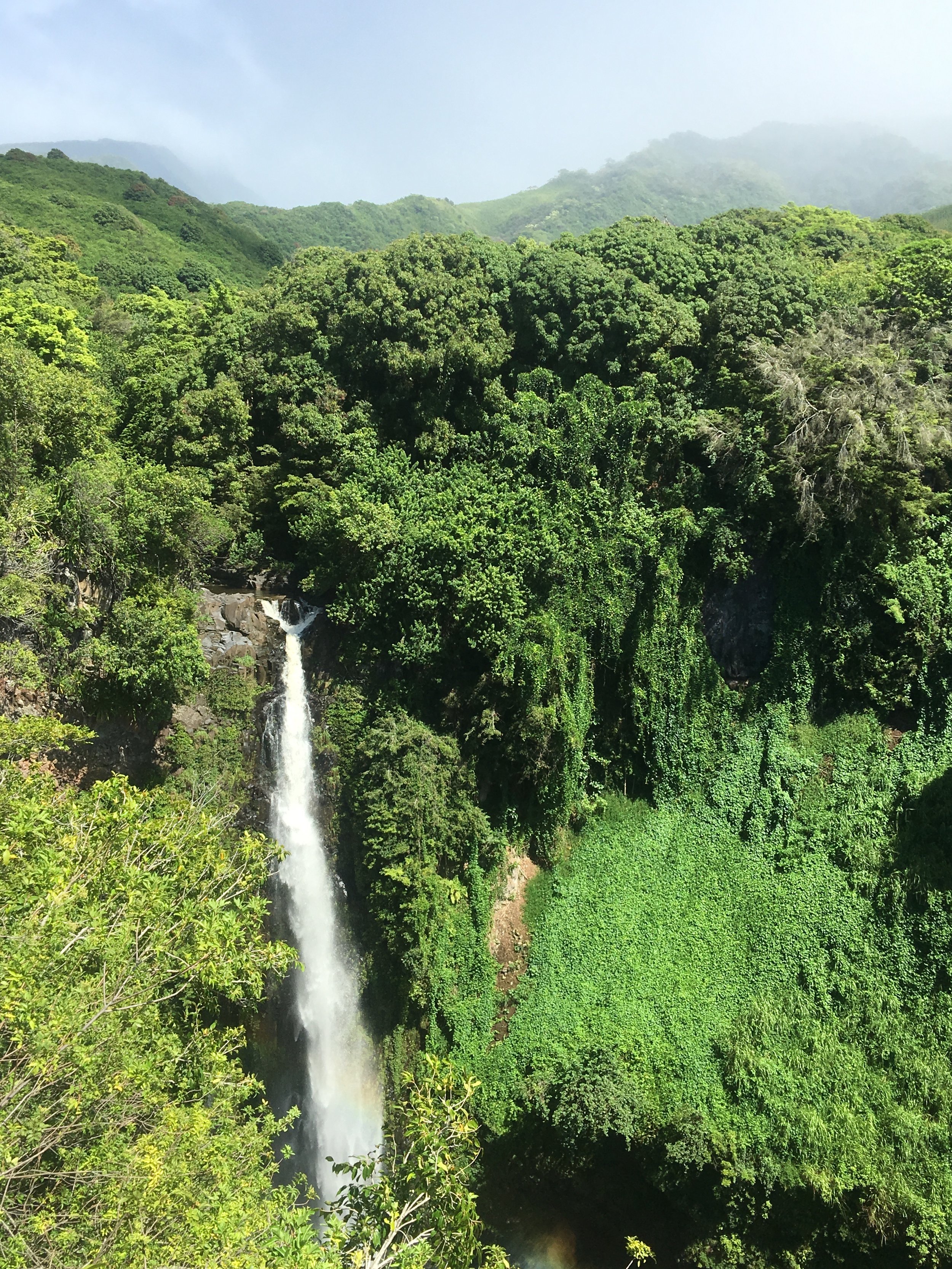 Blue_Soul_Maui_Private_Tour_Hana_Waterfall_13.jpg