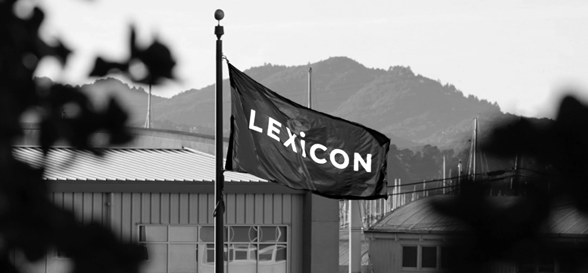 Why Lexicon_Flag_Banner.jpg