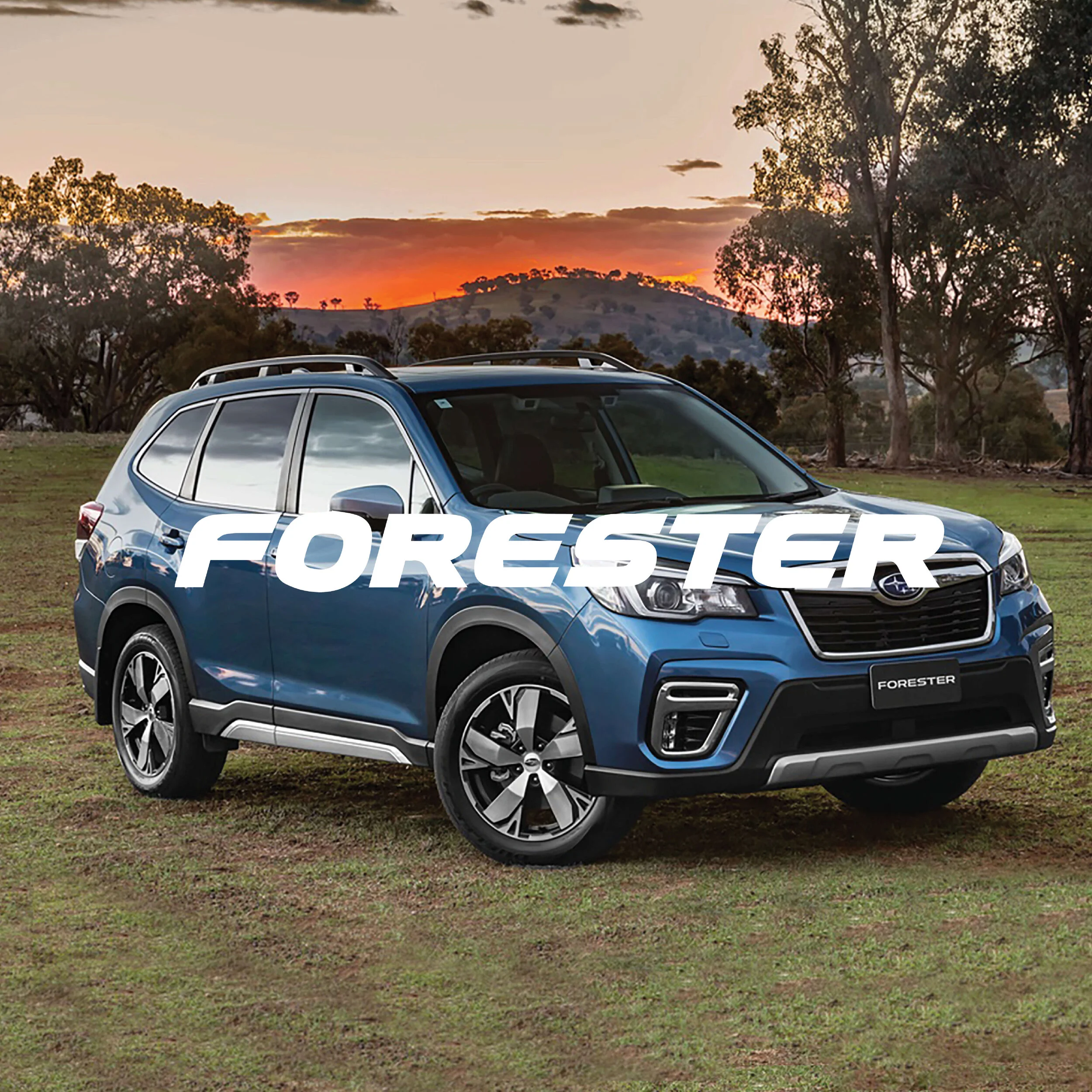 Forester_Subaru_credential.jpg