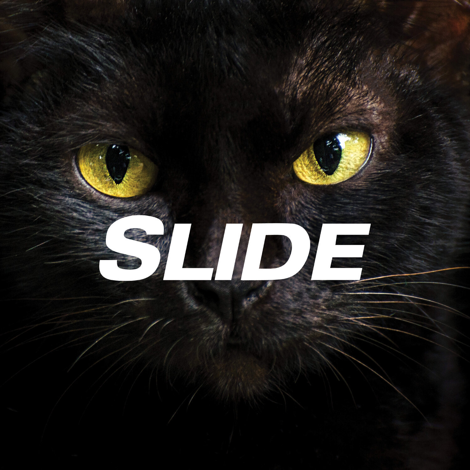 Slide (Arm & Hammer)