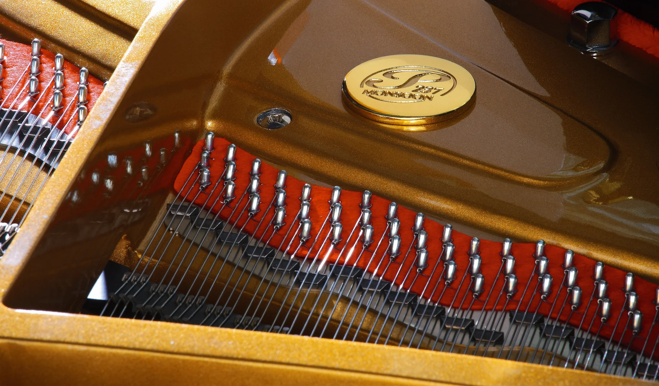 Close up tuning pins.jpg