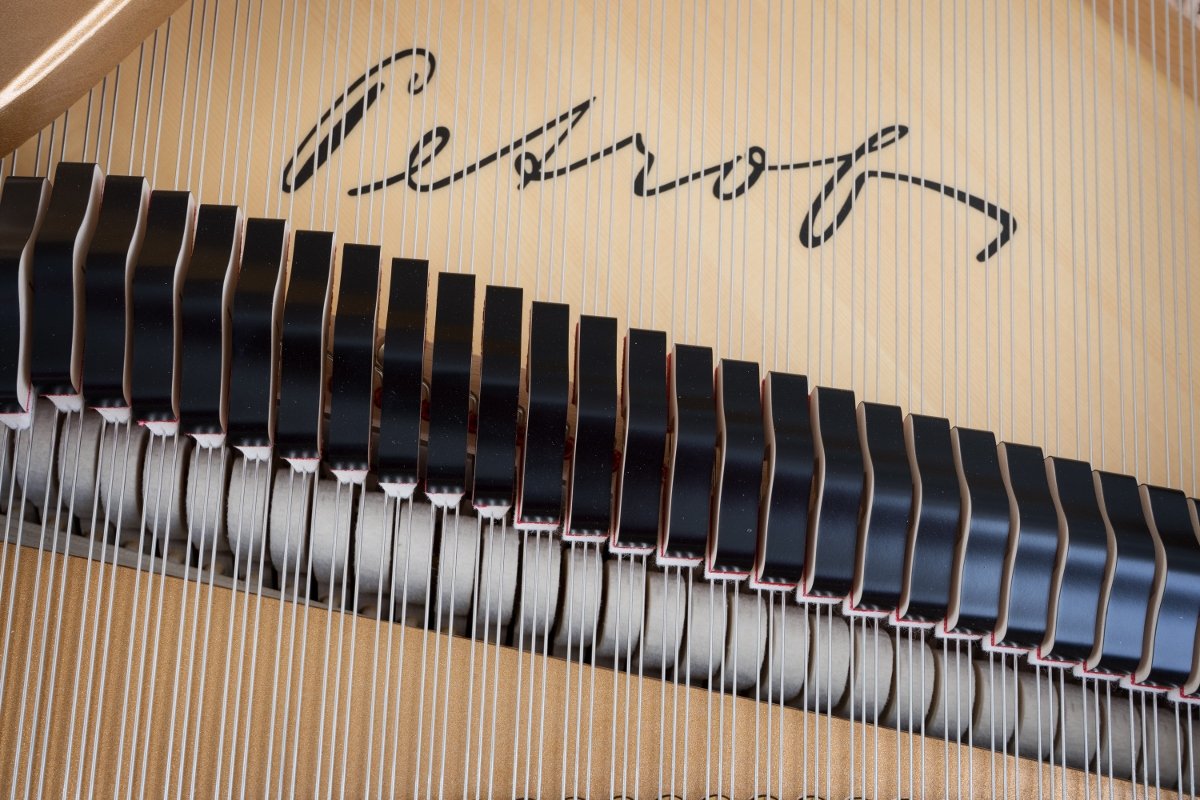 Close up strings.jpg