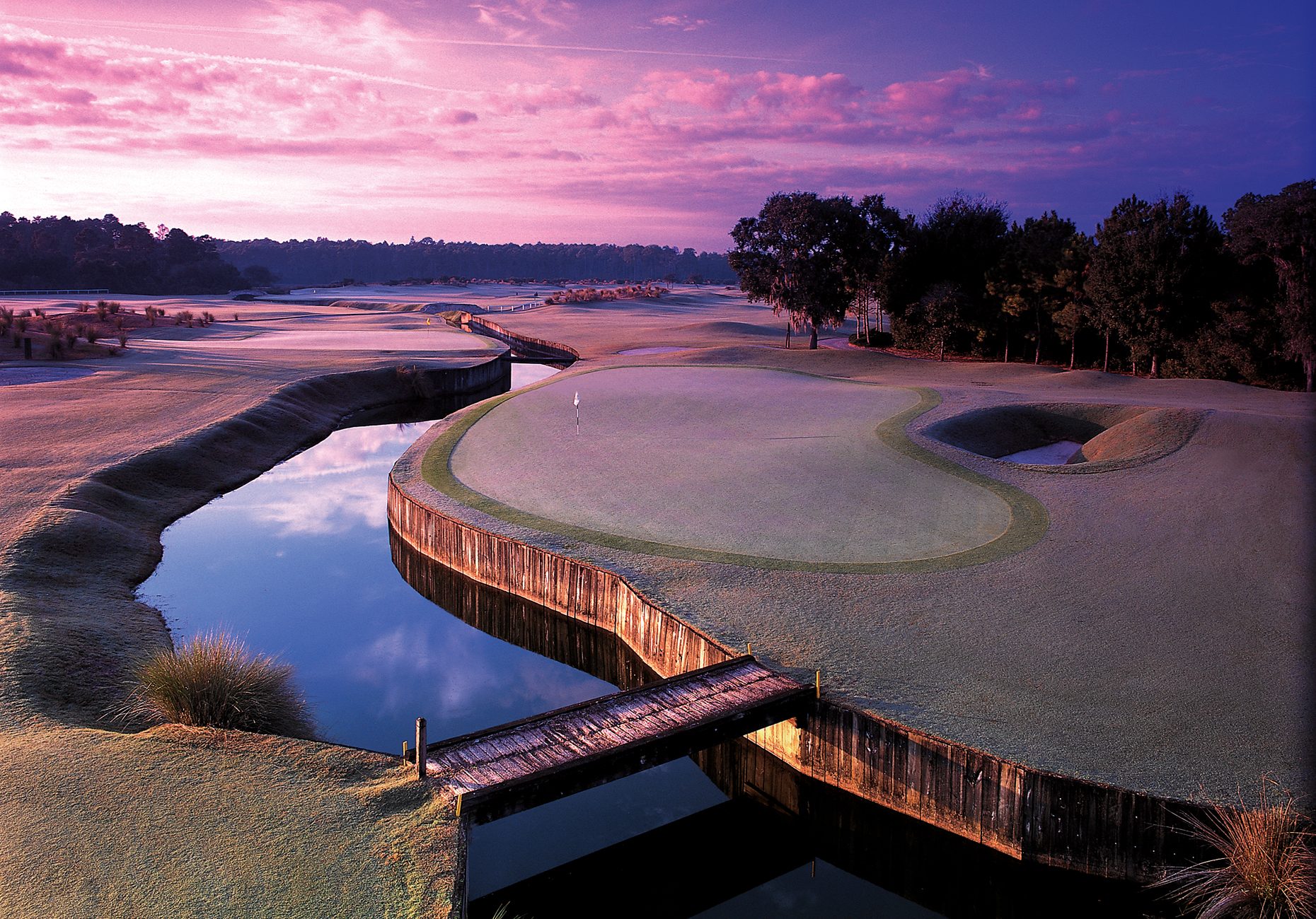innisbrook+lavander+copy_edited-1.jpg