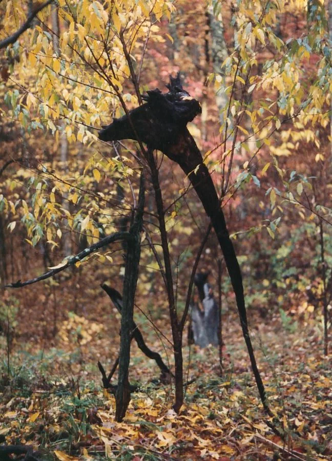 Tall one, over watching
