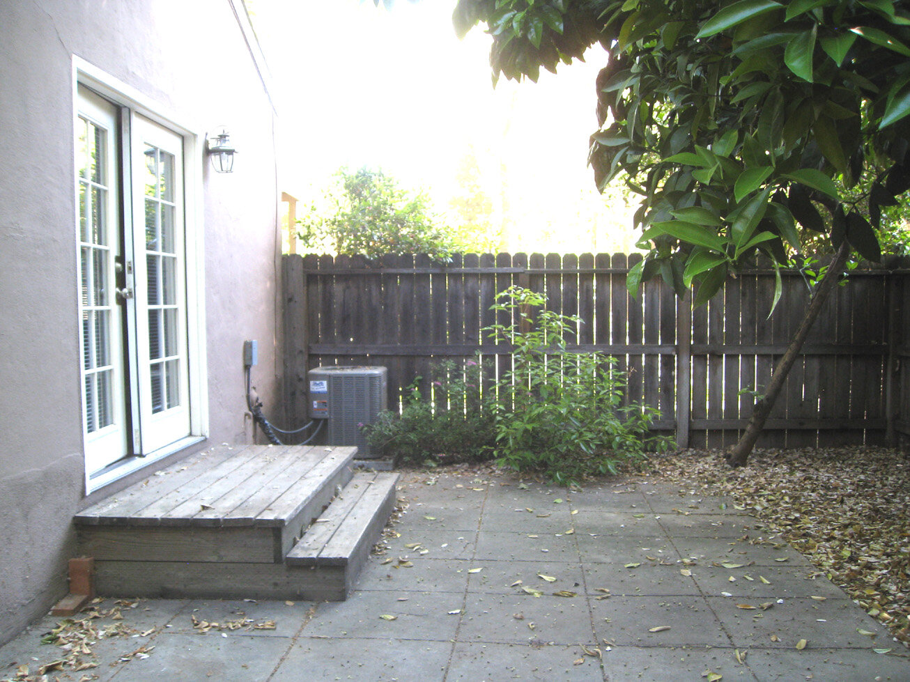 2530EstYard.jpg